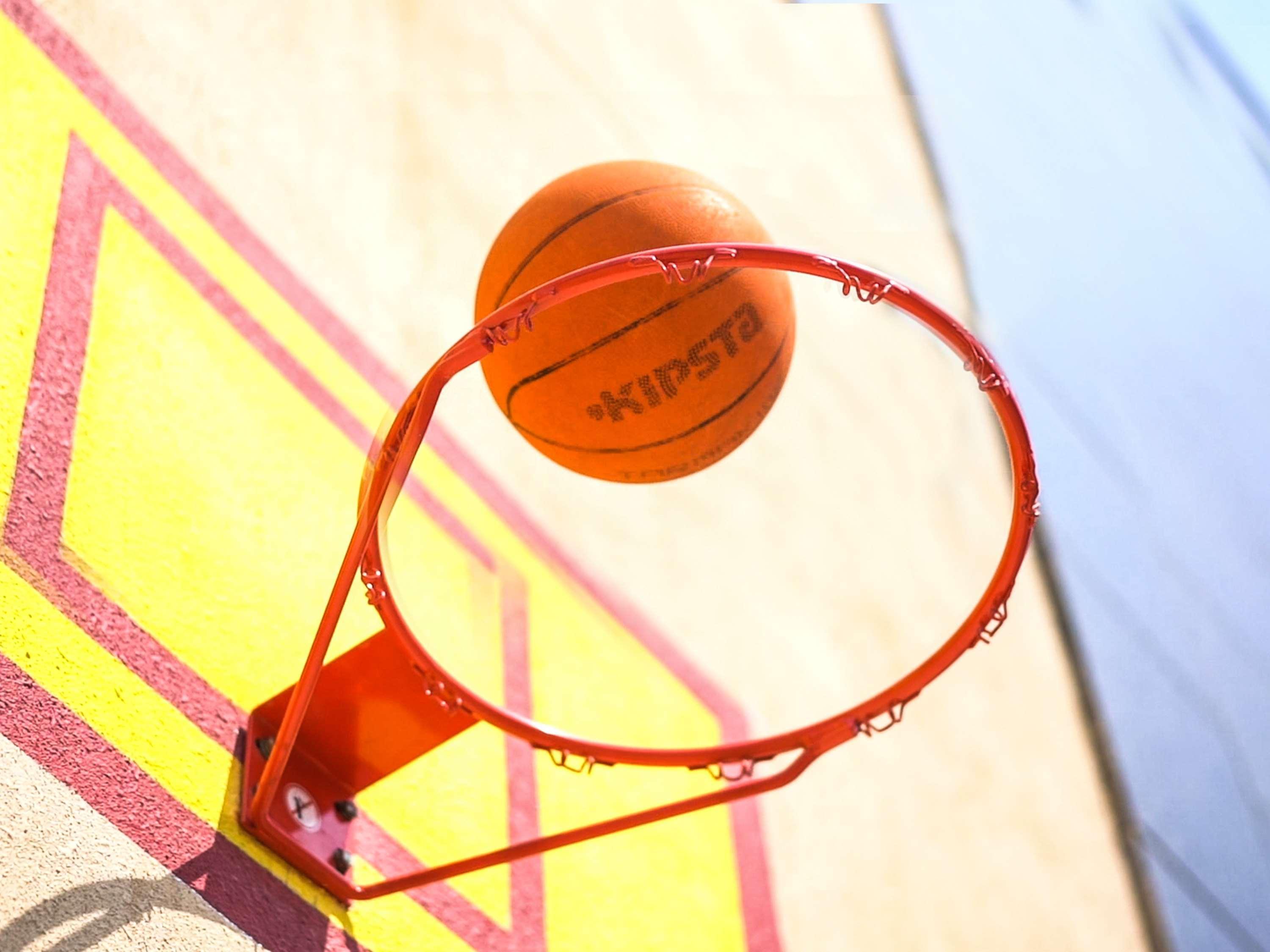 Novotel Chennai Sipcot 外观 照片 A basketball entering a hoop