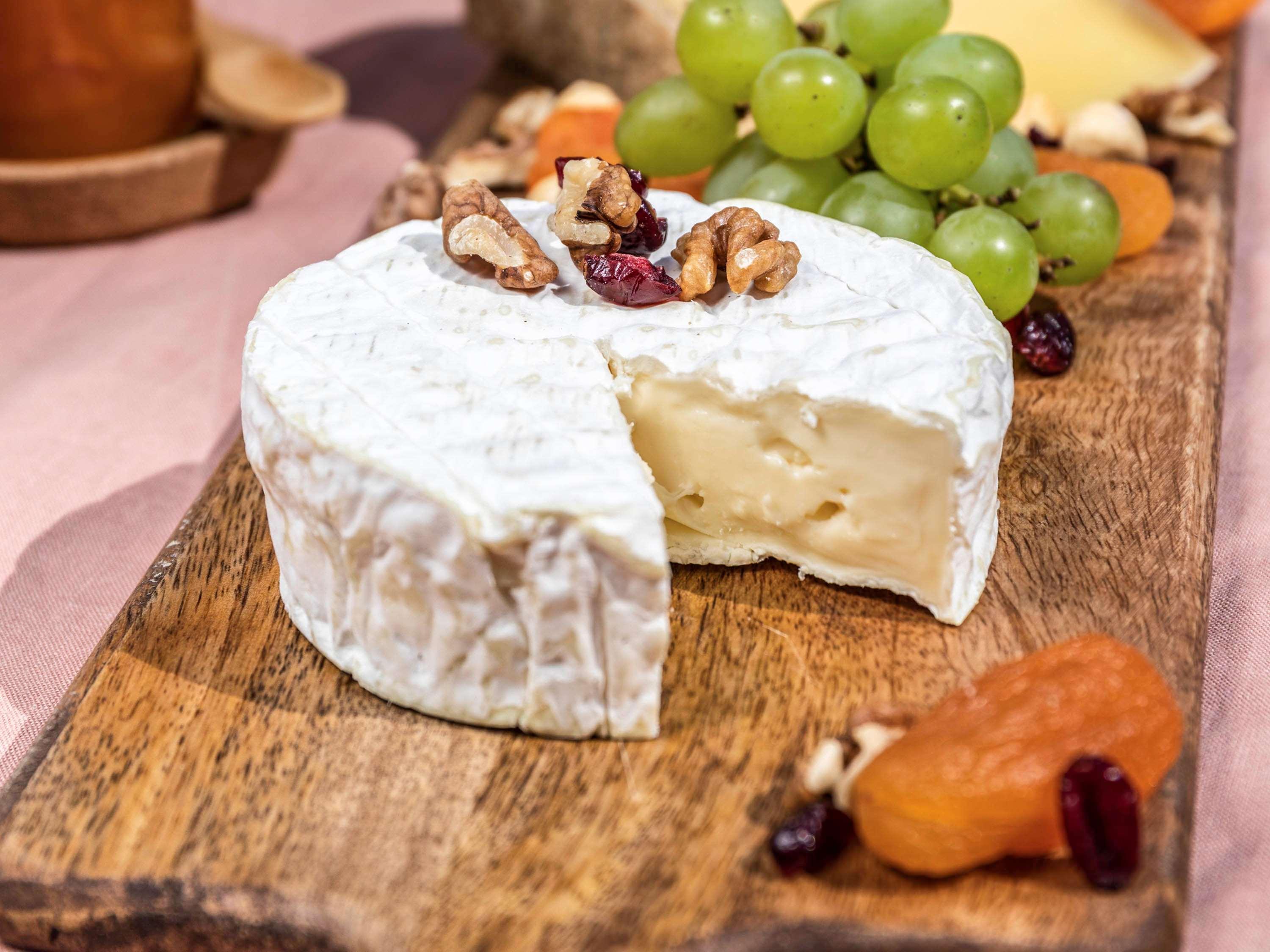Novotel Chennai Sipcot 外观 照片 Camembert cheese