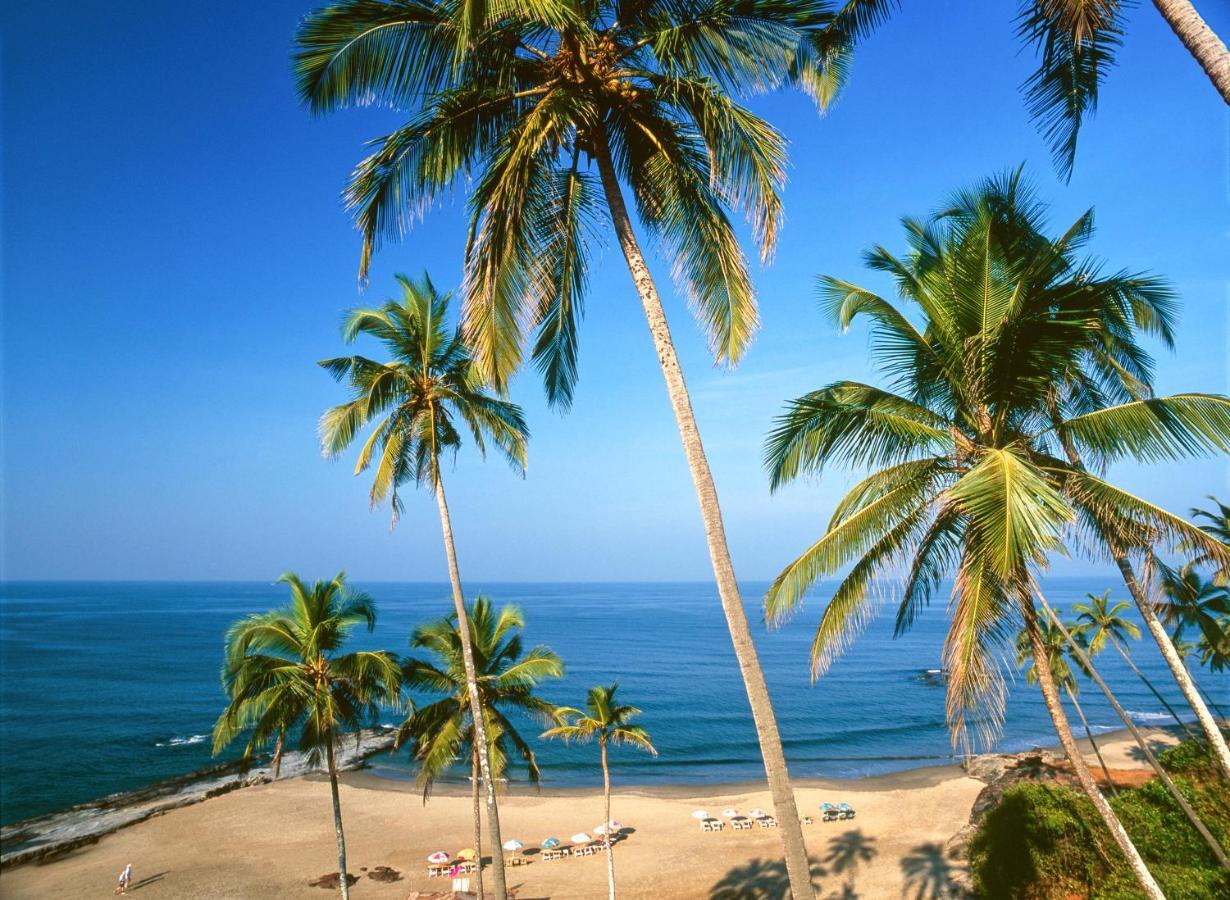 Novotel Chennai Sipcot 外观 照片 Beach in Calangute