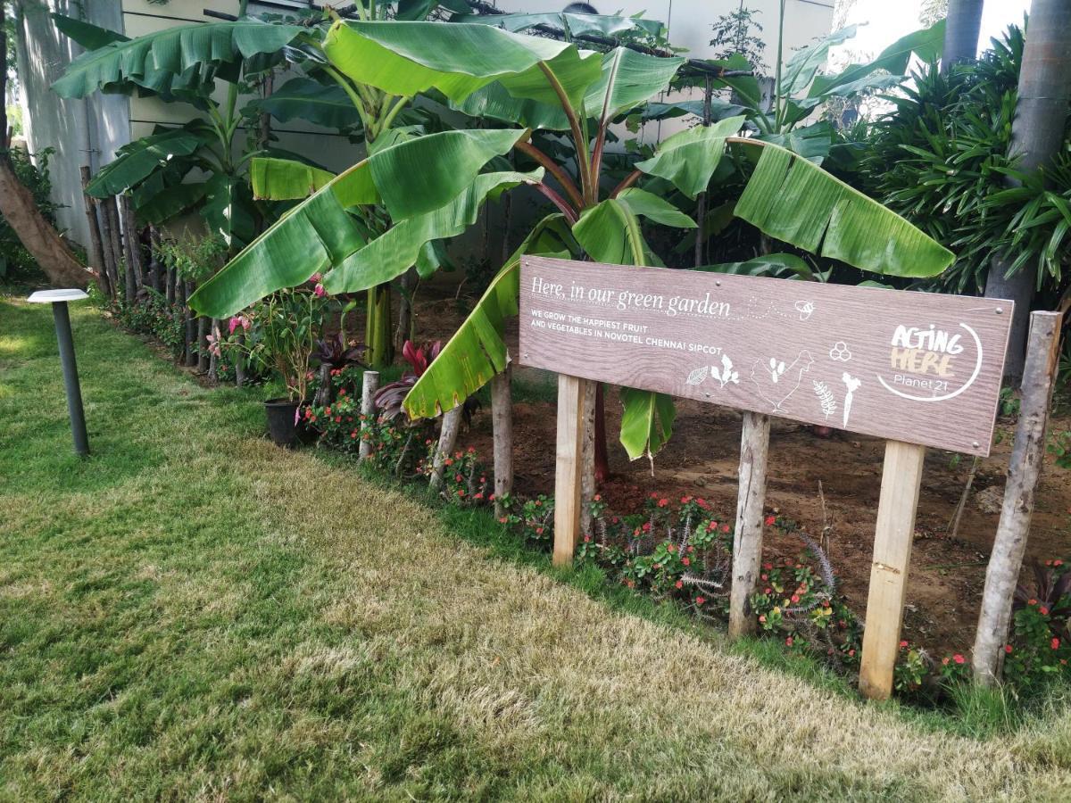 Novotel Chennai Sipcot 外观 照片 The Edible Garden at the National Gallery Singapore